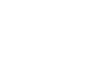 Té Guarani